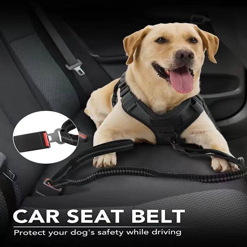 Pet Products Dog Frog Buckle Tactical Leash Dog Rope Large